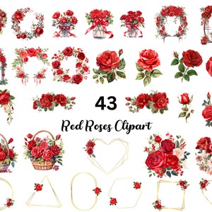 Red Roses Clipart transparent png - Mega Bundle 43 designs - Instant Digital Download