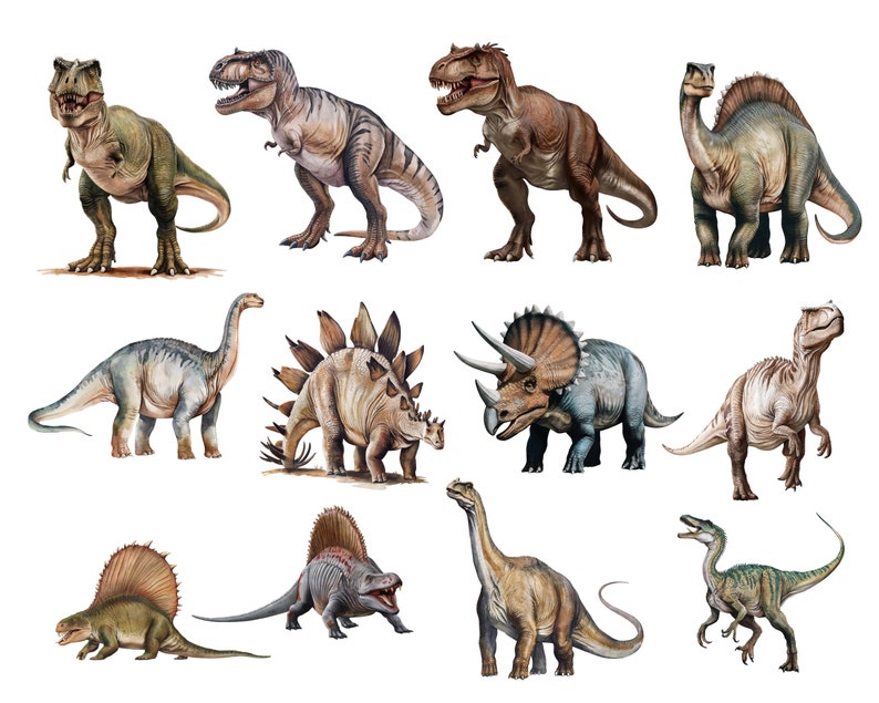 May include: A collection of 10 different dinosaur illustrations, including a Tyrannosaurus Rex, Triceratops, Stegosaurus, and Brachiosaurus. The dinosaurs are depicted in a realistic style with detailed features and vibrant colors.