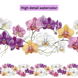 May include: Watercolor illustration of orchids in various colors, including white, pink, purple, and yellow. The image features a horizontal border of detailed floral arrangements with the text "High detail watercolor".