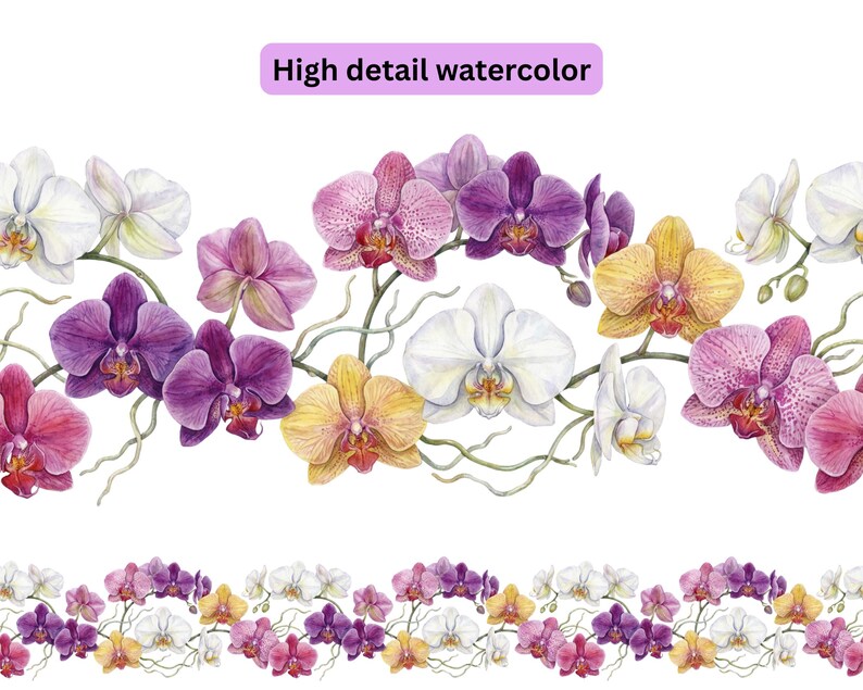 May include: Watercolor illustration of orchids in various colors, including white, pink, purple, and yellow. The image features a horizontal border of detailed floral arrangements with the text "High detail watercolor".