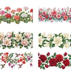 May include: A collection of watercolor floral border designs featuring various flowers, including geraniums, carnations, magnolias, gardenias, hummingbirds with trumpet vines, and roses. Each design showcases vibrant colors and intricate details.