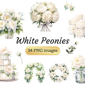 White Peonies Clipart transparent png - 34 designs - Instant Digital Download