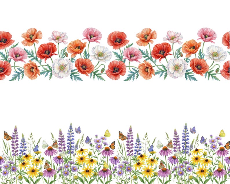 May include: Watercolor illustration of two floral borders. The top border features red, orange, pink, and white poppies with green leaves. The bottom border showcases a variety of wildflowers, including purple coneflowers, yellow daisies, and butterflies.