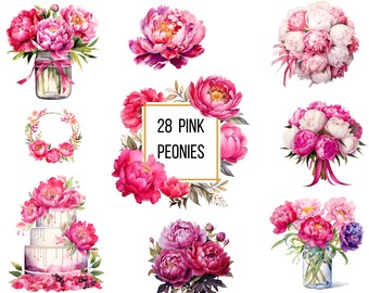 Pink Peonies Clipart transparent png - 28 designs - Instant Digital Download