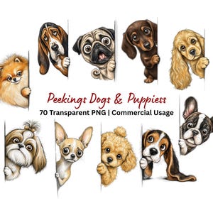 May include: A collection of nine illustrated dogs and puppies peeking from behind vertical edges. The text reads: Peekings Dogs & Puppiess 70 Transparent PNG | Commercial Usage. The breeds include a Pomeranian, Basset Hound, Pug, Dachshund, Spaniel, Shih Tzu, Chihuahua, Poodle, and French Bulldog.