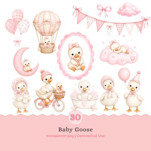 30 Silly Goose Clipart Bundle PNG | Pink Baby Shower Decorations, Birthday Party Graphics | Baby Girl Nursery | Baby Goose png