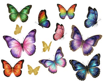 55 aquarel vlinder clipartbundel png | Gouden glittervlinders | Digitale download
