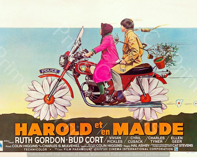 Harold and Maude - 1971 - Vintage Movie - - Belgian Poster