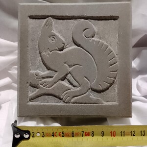 Puede incluir: Una baldosa cuadrada de hormigón gris con un relieve detallado de una ardilla en una rama. La ardilla tiene una cola tupida y está dentro de un marco. La baldosa mide aproximadamente 12.7 cm de ancho.