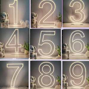 Custom Number LED Neon Sign: Birthday Party Decor