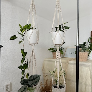 Könnte beinhalten: Vier weiße Keramik-Töpfe mit Pflanzen, die an Makramee-Pflanzenhängern hängen. Die Hänger bestehen aus natürlichem cremefarbenem Baumwollseil und haben oben Holzringe. Die Töpfe hängen an einem schwarzen Metallständer.
