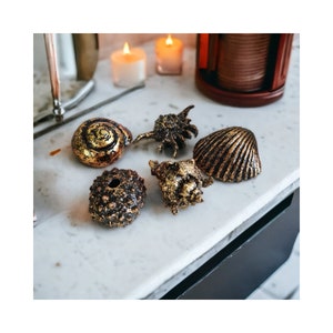 Rustic Gold Resin Faux Sea Shells / Set of 5 Dark Gold Shells / Seaside Nautical Bathroom Décor / Approx 9cm (4.5")  / Display Shells