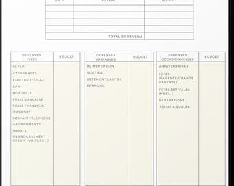 Monthly budget organization - TO PRINT - for account management and monthly financial monitoring - A4 - PDF