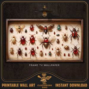 Peut inclure: Une impression encadrée d'une collection d'insectes vintage avec une variété de scarabées, de papillons et d'autres insectes rouges, verts et dorés. Le cadre est en bois brun avec une bordure dorée. L'impression est intitulée "FRAME TV WALLPAPER".