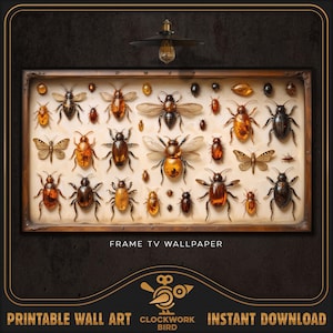 May include: A vintage-style framed print featuring a collection of various insects, including beetles, butterflies, and moths. The insects are displayed on a white background with a wooden frame. The print has the text "FRAME TV WALLPAPER" at the bottom.