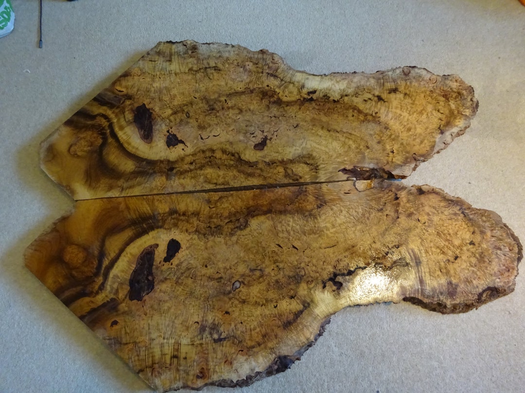 Myrtle Burl Wood Book Matched Pieces - Etsy