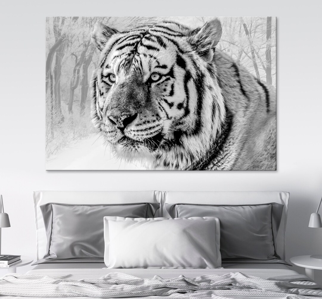 White Tiger Canvas Print Tiger Wall Art Tiger Canvas Animal Etsy