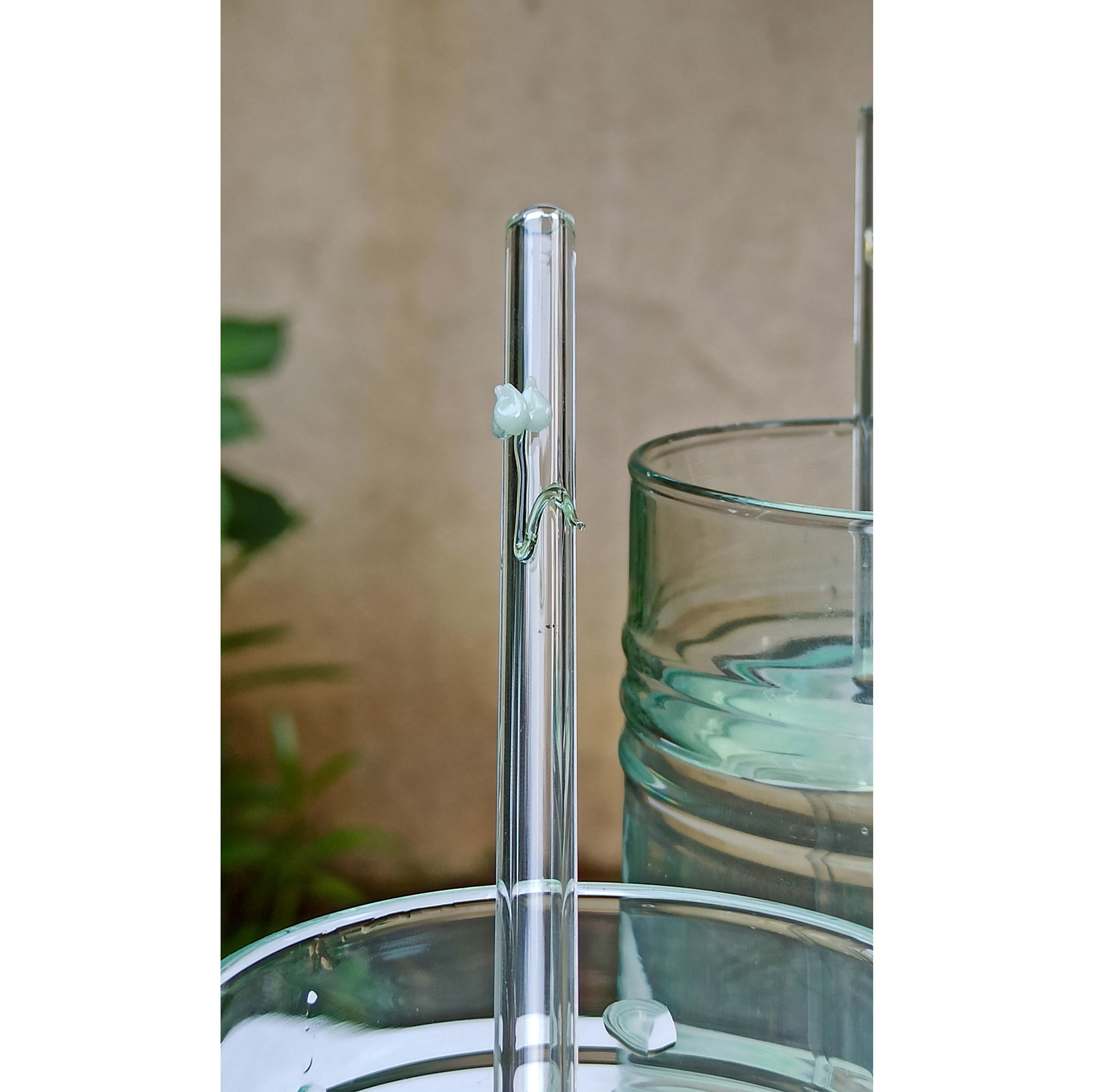 4 pailles zizi écologiques en verre
