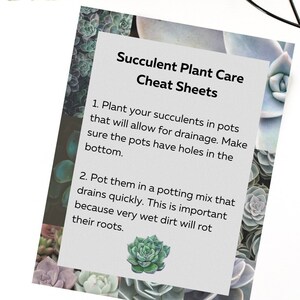 Cheatsheets vetplanten verzorgen voor beginners, afdrukbare spiekbriefjes, gemakkelijke succulente kamerplantenverzorging, hoe planten te begeleiden, bovenliggende plant
