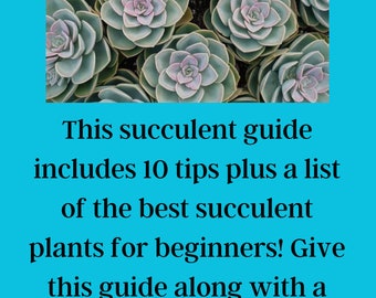 Succulent Plant Care Cheat Sheets for Beginners, Printable Cheat Sheets,  Easy Succulent House Plant Care, How to Guide Plants, Plant Parent - Etsy
