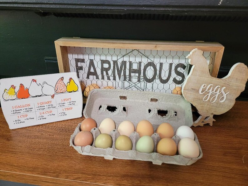Farm Fresh Free Range Chicken Eggs/rooster Exposed Etsy