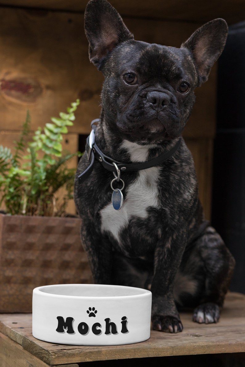 Custom Pet Food Bowl Name Pet Dish Personalized Cat Bowl Etsy