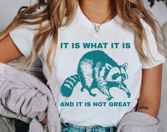 It Is What It Is And It Is Not Great Shirt, Funny Vintage Drawing T-Shirt, Raccoon Meme Shirt, Mood Gifts, Funny Mood Shirt, Funny Meme
