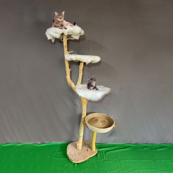 Natural Branch Cat Tree Etsy