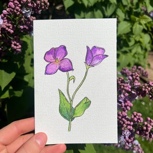 Handmade greeting card- Violet Flower- blank card- perfect for any occasion- watercolour card and envelope- 4x6 size