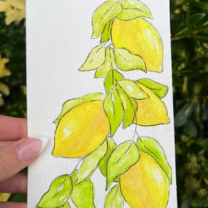Handgemaakte aquarelwenskaarten - citroenen - blanco kaart - perfect voor elke gelegenheid - aquarelkaart en envelop