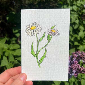 Tarjeta de felicitación hecha a mano - Flor de margarita - Tarjeta en blanco con sobre - Tamaño 4x6