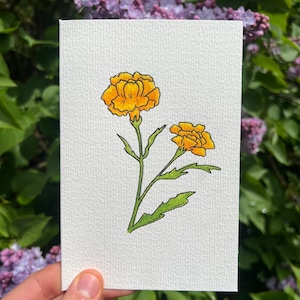 Tarjeta de felicitación hecha a mano - Flor de caléndula - Tarjeta en blanco - Perfecta para cualquier ocasión - Tarjeta de acuarela y sobre - Tamaño 4x6
