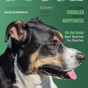 Könnte beinhalten: Ein Magazincover mit einem schwarz-weißen Hund auf der Titelseite. Das Magazin heißt "DOGUE" und enthält den Text "FRIENDSHIP PACKS IN PORTRAITS", "Yummi! Cheese Cookies", "FACT CHECK: CUDDLES INCREASE HAPPINESS", "On the Road Best Beaches For Pooches", "SLADE The Next Doggywood Star", und "GLAMOUROUS! TOP TEN DOG BEDS 18 Hours of Sleep".
