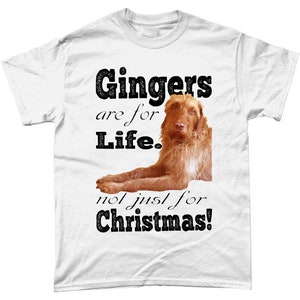 Wirehaired Vizsla T-Shirt | Funny Dog Shirt | Vizsla Owner | Dog Lover Gift | Various colours