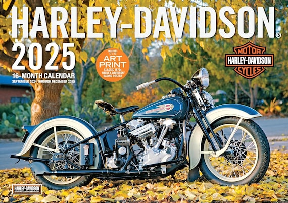 m*1様 CALEE HARLEY BORDER L/S CS 25AW DBC327 | Harley-Davidson Extra Air Space Audio Lowers Leg Warmers