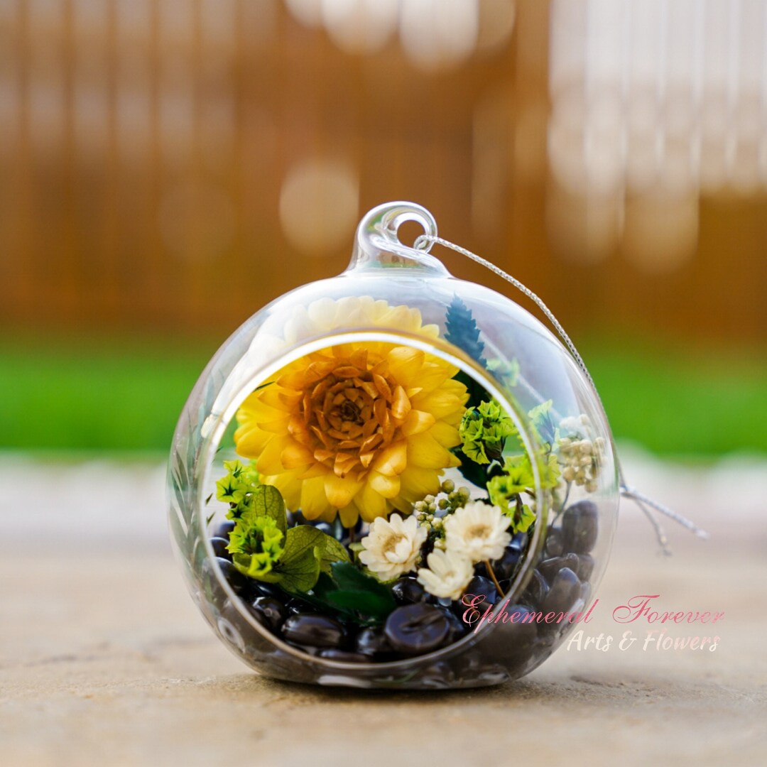 Preserved Flowers in Glass Bauble coffee Field Yellow Chrysanthemum