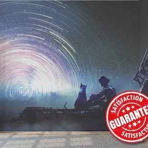 May include: A mural depicting a person and a cat silhouetted against a swirling, colorful night sky. The image features a red "Satisfaction Guarantee" stamp. The scene evokes a sense of wonder and contemplation, perfect for a bedroom or living room.