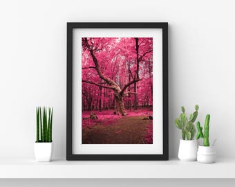 Pink Forest Photo Print (Digital Download)