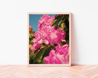 Vibrant Azalea Photo Print (Digital Download)