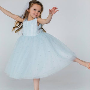 Baby Blue Pearl Tulle Dress: Tutu Flower Girl Dress