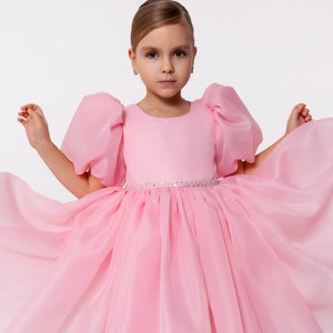 Pink Princess Dress: Organza Tutu, Beaded Sash
