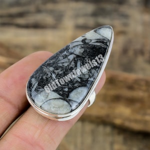 Orthoceras Fossil Ring - 925 Sterling Silver Size 6.5 US, Ancient Fossil Jewelry,Long Statement Ring, Handmade Dinosaur Era Silver Gift Ring