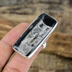 Orthoceras Fossil Ring in Sterling Silver, Long Statement Ring, Size 9