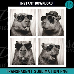 May include: Black and white image featuring four panels of a capybara wearing sunglasses and a hat. The capybaras have different expressions, including sticking out their tongue and smiling. The image has the text "INSTANT DOWNLOAD" and "TRANSPARENT SUBLIMATION PNG".