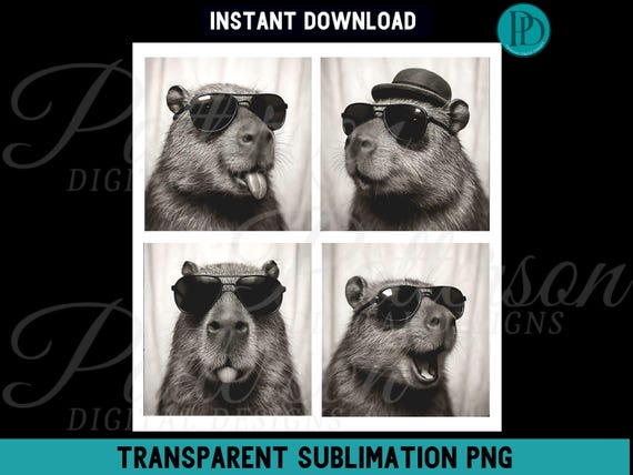 Funny Capybara PNG, Photobooth Animal for Retro Graphic Tee Photo Booth Shirt Clipart Cute Sunglasses Cappy Water Pig, Vintage Film Style