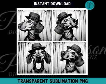 Funny Dachshund PNG, Photobooth Animal for Retro Graphic Tee Doxie Photo Booth Shirt Clipart Cute Weiner Dog Fedora Hat, Vintage Film Style