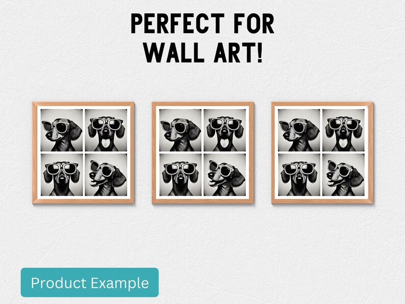 May include: Three framed prints of a black and white illustration of a dachshund wearing sunglasses. Each print features six different poses of the dog.
