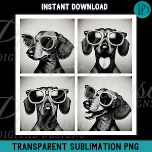 May include: Four black and white photos of a dachshund wearing sunglasses. Each photo shows the dog in a different pose.
