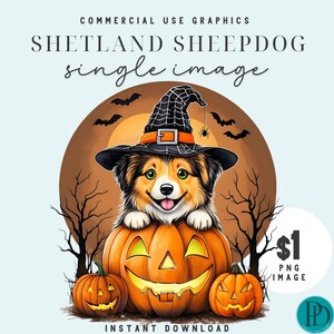 May include: A Shetland Sheepdog wearing a witch's hat with a spider web design and a black and orange band, peeking out of a jack-o'-lantern. The dog is surrounded by a brown background with a full moon and bats.