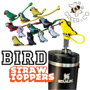 May include: A set of colorful bird straw toppers with a black and silver Stanley thermos. The straw toppers are made of silicone and feature a variety of bird designs, including parrots, cockatoos, and a yellow canary. The text "BIRD STRAW TOPPERS" is displayed in bold black letters with orange outlines. The text "GREER & CO" is displayed in a white circle with a black bee illustration.